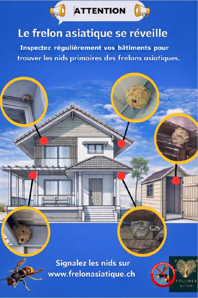 Frelan asiatique Printemps maison